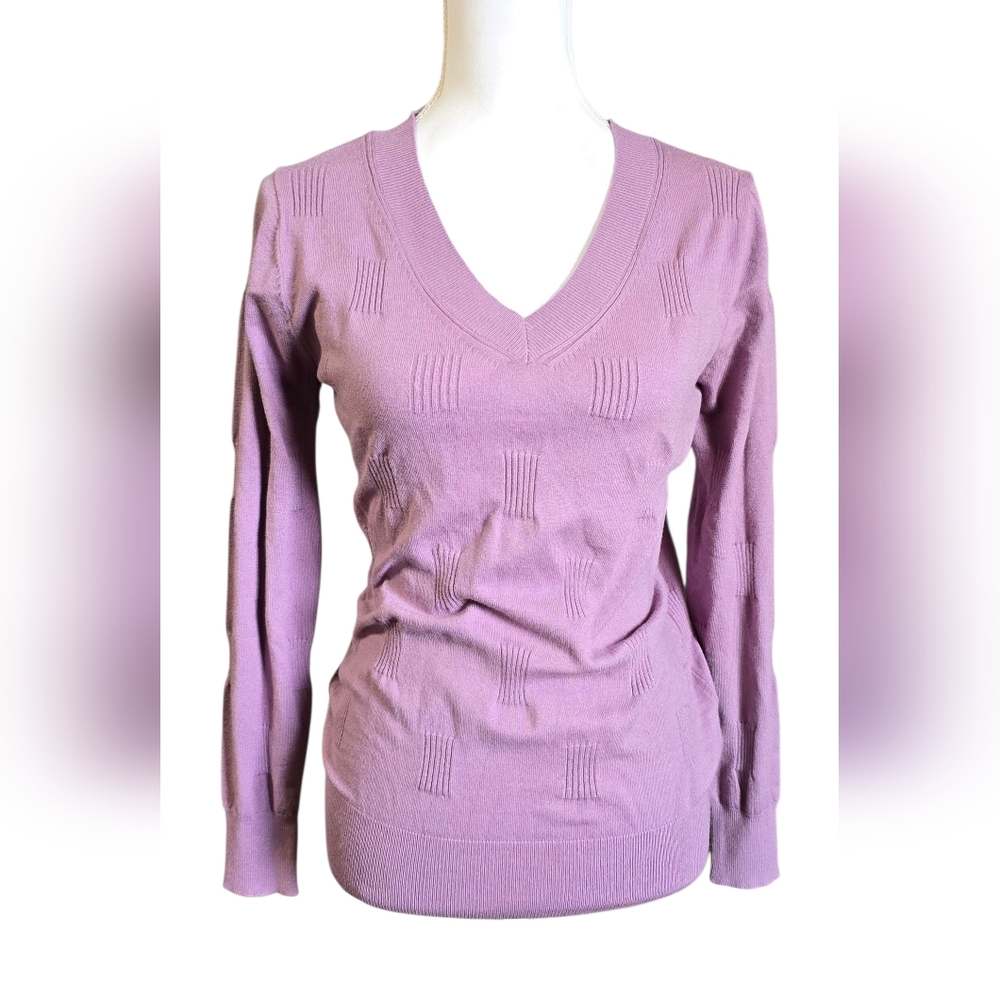 Arach & Cloz Elegant Lavender V-Neck Sweater